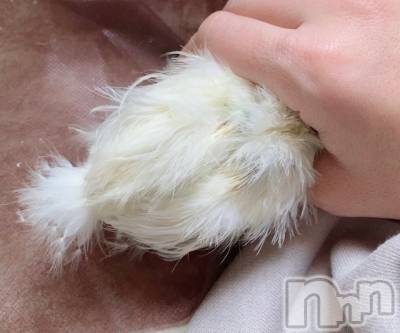 上越デリヘル 上越風俗出張アロママッサージ(ジョウエツフウゾクシュッチョウアロママッサージ) ゆずき☆(37)の11月13日写メブログ「本日も♡新人のつばさちゃん出勤です♡」