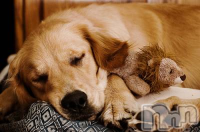 上越デリヘル 上越風俗出張アロママッサージ(ジョウエツフウゾクシュッチョウアロママッサージ) ゆずき☆(37)の11月14日写メブログ「ありがとうございました♡」