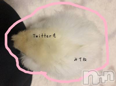 上越デリヘル 上越風俗出張アロママッサージ(ジョウエツフウゾクシュッチョウアロママッサージ) ゆずき☆(37)の11月25日写メブログ「本日も♡」