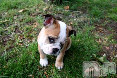 上越デリヘル 上越風俗出張アロママッサージ(ジョウエツフウゾクシュッチョウアロママッサージ) ゆずき☆(37)の12月7日写メブログ「ありがとうございました♡」