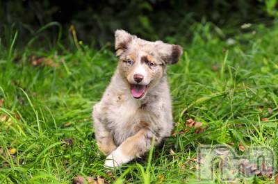 上越デリヘル 上越風俗出張アロママッサージ(ジョウエツフウゾクシュッチョウアロママッサージ) ゆずき☆(37)の12月17日写メブログ「ありがとうございました♡」