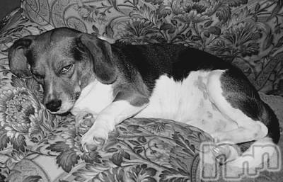 上越デリヘル 上越風俗出張アロママッサージ(ジョウエツフウゾクシュッチョウアロママッサージ) ゆずき☆(37)の12月17日写メブログ「ありがとうございました♡」