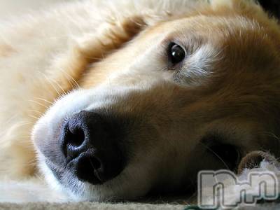 上越デリヘル 上越風俗出張アロママッサージ(ジョウエツフウゾクシュッチョウアロママッサージ) ゆずき☆(37)の12月17日写メブログ「ありがとうございました♡」