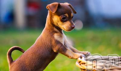 上越デリヘル 上越風俗出張アロママッサージ(ジョウエツフウゾクシュッチョウアロママッサージ) ゆずき☆(37)の12月17日写メブログ「ありがとうございました♡」