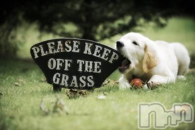 上越デリヘル 上越風俗出張アロママッサージ(ジョウエツフウゾクシュッチョウアロママッサージ) ゆずき☆(37)の12月26日写メブログ「ありがとうございました♡」