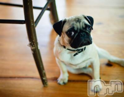 上越デリヘル 上越風俗出張アロママッサージ(ジョウエツフウゾクシュッチョウアロママッサージ) ゆずき☆(37)の12月26日写メブログ「ありがとうございました♡」