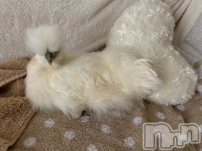 上越デリヘル 上越風俗出張アロママッサージ(ジョウエツフウゾクシュッチョウアロママッサージ) ゆずき☆(37)の1月7日写メブログ「本日からお天気(^o^)‥」