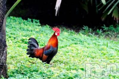 上越デリヘル 上越風俗出張アロママッサージ(ジョウエツフウゾクシュッチョウアロママッサージ) ゆずき☆(37)の1月23日写メブログ「ありがとうございました♡」