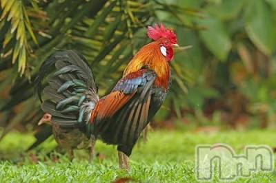 上越デリヘル 上越風俗出張アロママッサージ(ジョウエツフウゾクシュッチョウアロママッサージ) ゆずき☆(37)の1月23日写メブログ「ありがとうございました♡」