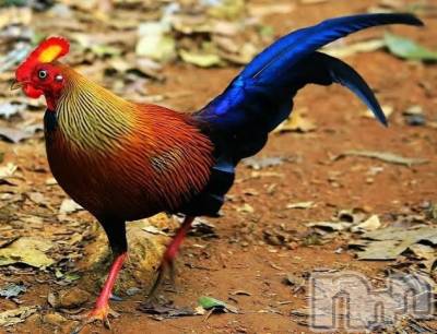 上越デリヘル 上越風俗出張アロママッサージ(ジョウエツフウゾクシュッチョウアロママッサージ) ゆずき☆(37)の1月23日写メブログ「ありがとうございました♡」