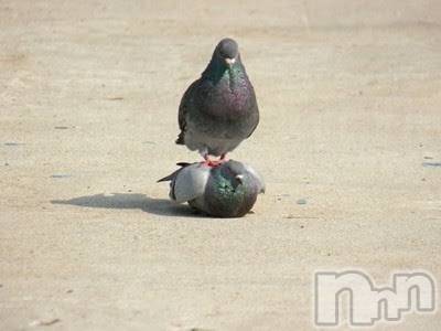 上越デリヘル 上越風俗出張アロママッサージ(ジョウエツフウゾクシュッチョウアロママッサージ) ゆずき☆(37)の1月23日写メブログ「ありがとうございました♡」