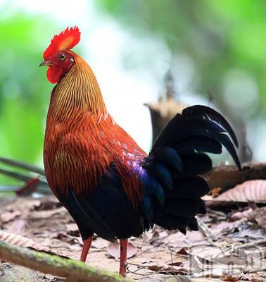 上越デリヘル 上越風俗出張アロママッサージ(ジョウエツフウゾクシュッチョウアロママッサージ) ゆずき☆(37)の1月23日写メブログ「ありがとうございました♡」