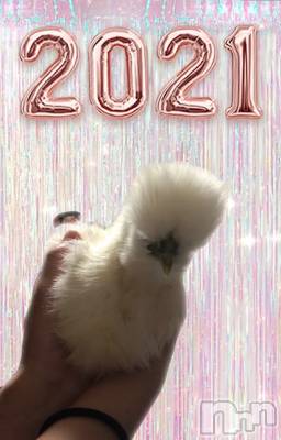 上越デリヘル 上越風俗出張アロママッサージ(ジョウエツフウゾクシュッチョウアロママッサージ) ゆずき☆(37)の1月25日写メブログ「本日も♡」