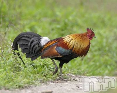 上越デリヘル 上越風俗出張アロママッサージ(ジョウエツフウゾクシュッチョウアロママッサージ) ゆずき☆(37)の1月26日写メブログ「ありがとうございました♡」