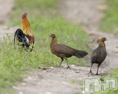 上越デリヘル 上越風俗出張アロママッサージ(ジョウエツフウゾクシュッチョウアロママッサージ) ゆずき☆(37)の1月26日写メブログ「ありがとうございました♡」