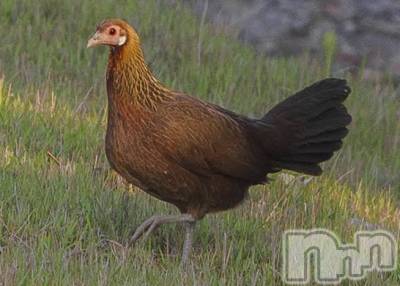 上越デリヘル 上越風俗出張アロママッサージ(ジョウエツフウゾクシュッチョウアロママッサージ) ゆずき☆(37)の1月26日写メブログ「ありがとうございました♡」