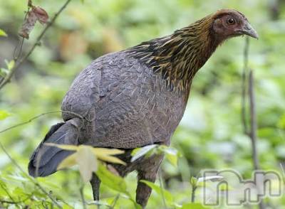 上越デリヘル 上越風俗出張アロママッサージ(ジョウエツフウゾクシュッチョウアロママッサージ) ゆずき☆(37)の1月26日写メブログ「ありがとうございました♡」