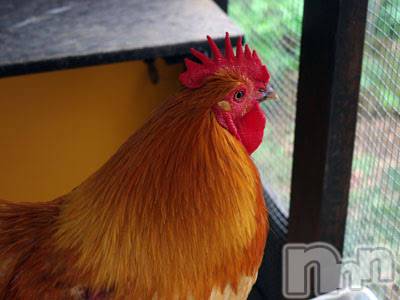 上越デリヘル 上越風俗出張アロママッサージ(ジョウエツフウゾクシュッチョウアロママッサージ) ゆずき☆(37)の2月3日写メブログ「ありがとうございました♡」