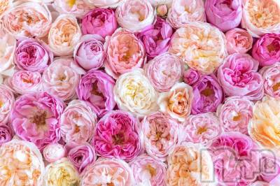 上越デリヘル 上越風俗出張アロママッサージ(ジョウエツフウゾクシュッチョウアロママッサージ) ゆずき☆(37)の2月3日写メブログ「ありがとうございました♡」