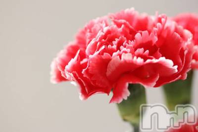 上越デリヘル 上越風俗出張アロママッサージ(ジョウエツフウゾクシュッチョウアロママッサージ) ゆずき☆(37)の2月13日写メブログ「ありがとうございました♡」