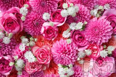 上越デリヘル 上越風俗出張アロママッサージ(ジョウエツフウゾクシュッチョウアロママッサージ) ゆずき☆(37)の2月14日写メブログ「ありがとうございました♡」