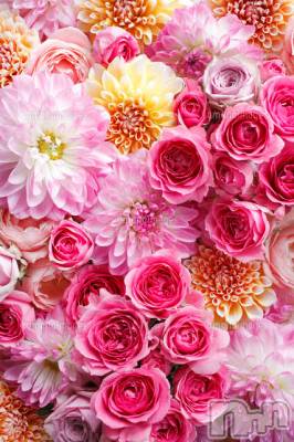 上越デリヘル 上越風俗出張アロママッサージ(ジョウエツフウゾクシュッチョウアロママッサージ) ゆずき☆(37)の2月14日写メブログ「ありがとうございました♡」