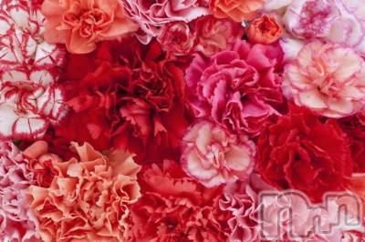 上越デリヘル 上越風俗出張アロママッサージ(ジョウエツフウゾクシュッチョウアロママッサージ) ゆずき☆(37)の3月18日写メブログ「ありがとうございました♡」