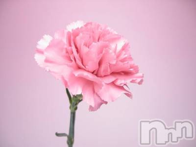 上越デリヘル 上越風俗出張アロママッサージ(ジョウエツフウゾクシュッチョウアロママッサージ) ゆずき☆(37)の3月19日写メブログ「ありがとうございました♡」