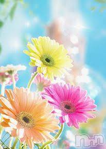 上越デリヘル 上越風俗出張アロママッサージ(ジョウエツフウゾクシュッチョウアロママッサージ) ゆずき☆(37)の3月28日写メブログ「ありがとうございました♡」