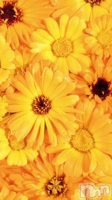 上越デリヘル 上越風俗出張アロママッサージ(ジョウエツフウゾクシュッチョウアロママッサージ) ゆずき☆(37)の3月28日写メブログ「ありがとうございました♡」