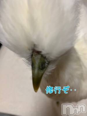 上越デリヘル 上越風俗出張アロママッサージ(ジョウエツフウゾクシュッチョウアロママッサージ) ゆずき☆(37)の3月29日写メブログ「在ったものが無くなるとき^_^」