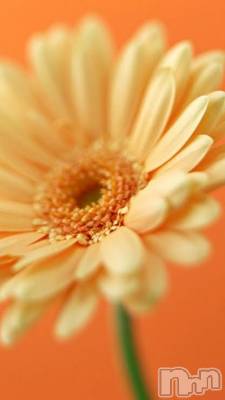 上越デリヘル 上越風俗出張アロママッサージ(ジョウエツフウゾクシュッチョウアロママッサージ) ゆずき☆(37)の3月29日写メブログ「ありがとうございました♡」