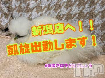 上越デリヘル 上越風俗出張アロママッサージ(ジョウエツフウゾクシュッチョウアロママッサージ) ゆずき☆(37)の4月4日写メブログ「新潟店へ里帰り出勤！」