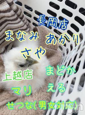 上越デリヘル 上越風俗出張アロママッサージ(ジョウエツフウゾクシュッチョウアロママッサージ) ゆずき☆(37)の4月5日写メブログ「本日の出勤キャスト一覧?(???*)?」