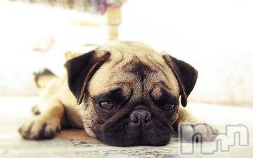 上越デリヘル 上越風俗出張アロママッサージ(ジョウエツフウゾクシュッチョウアロママッサージ) ゆずき☆(37)の4月5日写メブログ「ありがとうございました♪」