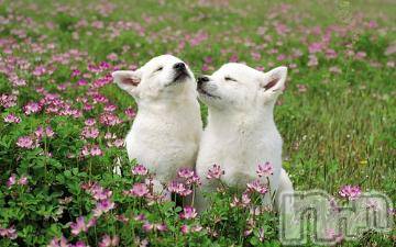 上越デリヘル 上越風俗出張アロママッサージ(ジョウエツフウゾクシュッチョウアロママッサージ) ゆずき☆(37)の4月5日写メブログ「ありがとうございました♪」