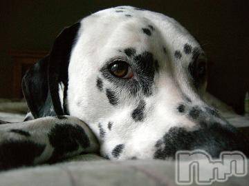 上越デリヘル 上越風俗出張アロママッサージ(ジョウエツフウゾクシュッチョウアロママッサージ) ゆずき☆(37)の4月5日写メブログ「ありがとうございました♪」