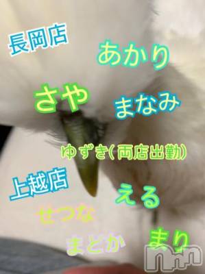 上越デリヘル 上越風俗出張アロママッサージ(ジョウエツフウゾクシュッチョウアロママッサージ) ゆずき☆(37)の4月6日写メブログ「本日の出勤キャストです(^^♪」