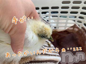 上越デリヘル 上越風俗出張アロママッサージ(ジョウエツフウゾクシュッチョウアロママッサージ) ゆずき☆(37)の4月12日写メブログ「ありがとうございました！」