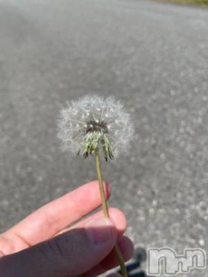 上越デリヘル 上越風俗出張アロママッサージ(ジョウエツフウゾクシュッチョウアロママッサージ) ゆずき☆(37)の5月11日写メブログ「本日上越スタートです^ - ^」