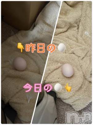 上越デリヘル 上越風俗出張アロママッサージ(ジョウエツフウゾクシュッチョウアロママッサージ) ゆずき☆(37)の7月28日写メブログ「いつも訪問ありがとうございます！」