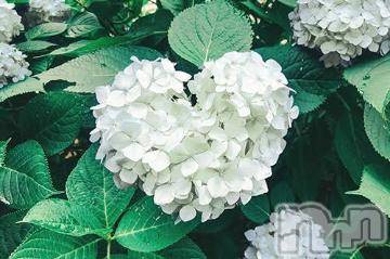 上越デリヘル 上越風俗出張アロママッサージ(ジョウエツフウゾクシュッチョウアロママッサージ) ゆずき☆(37)の11月17日写メブログ「ありがとうございました^ - ^」