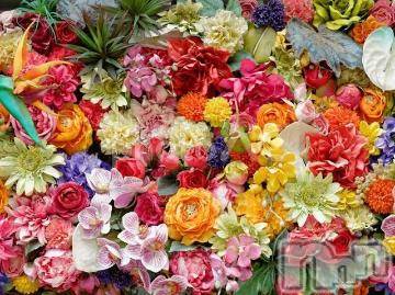 上越デリヘル 上越風俗出張アロママッサージ(ジョウエツフウゾクシュッチョウアロママッサージ) ゆずき☆(37)の11月17日写メブログ「ありがとうございました^ - ^」