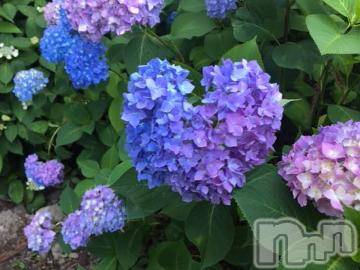 上越デリヘル 上越風俗出張アロママッサージ(ジョウエツフウゾクシュッチョウアロママッサージ) ゆずき☆(37)の11月17日写メブログ「ありがとうございました^ - ^」