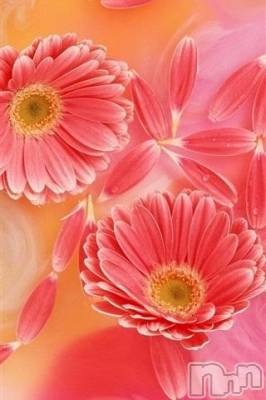 上越デリヘル 上越風俗出張アロママッサージ(ジョウエツフウゾクシュッチョウアロママッサージ) ゆずき☆(37)の11月17日写メブログ「ありがとうございました^ - ^」