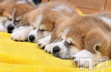 上越デリヘル 上越風俗出張アロママッサージ(ジョウエツフウゾクシュッチョウアロママッサージ) ゆずき☆(37)の1月23日写メブログ「ありがとうございました(^O^)」