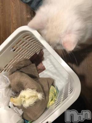 上越デリヘル 上越風俗出張アロママッサージ(ジョウエツフウゾクシュッチョウアロママッサージ) ゆずき☆(37)の1月26日写メブログ「ありがとうございました^ - ^」