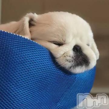 上越デリヘル 上越風俗出張アロママッサージ(ジョウエツフウゾクシュッチョウアロママッサージ) ゆずき☆(37)の2月12日写メブログ「ありがとうございました^_^」