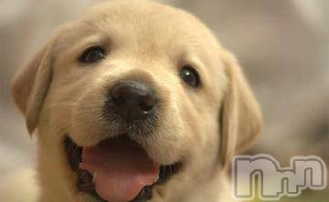 上越デリヘル 上越風俗出張アロママッサージ(ジョウエツフウゾクシュッチョウアロママッサージ) ゆずき☆(37)の2月12日写メブログ「ありがとうございました^_^」