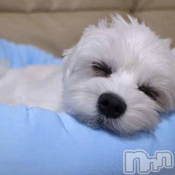 上越デリヘル 上越風俗出張アロママッサージ(ジョウエツフウゾクシュッチョウアロママッサージ) ゆずき☆(37)の2月12日写メブログ「ありがとうございました^_^」